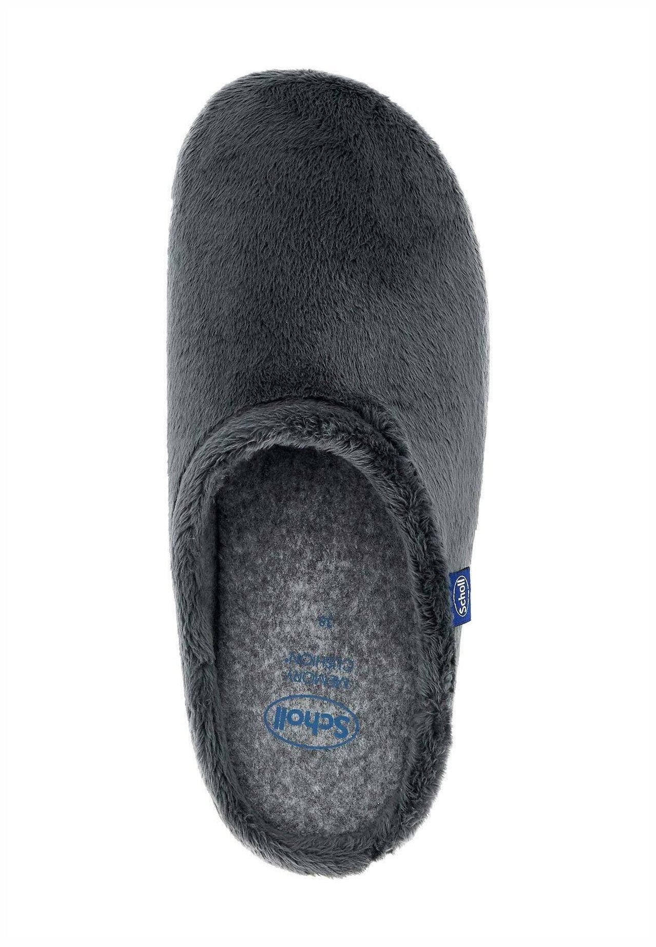 Scholl HOLLY
