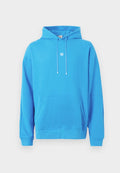 Calvin Klein HOODIE ICON