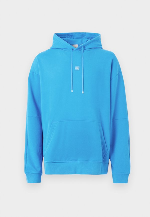 Calvin Klein HOODIE ICON