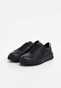 Scholl BROOKLYN