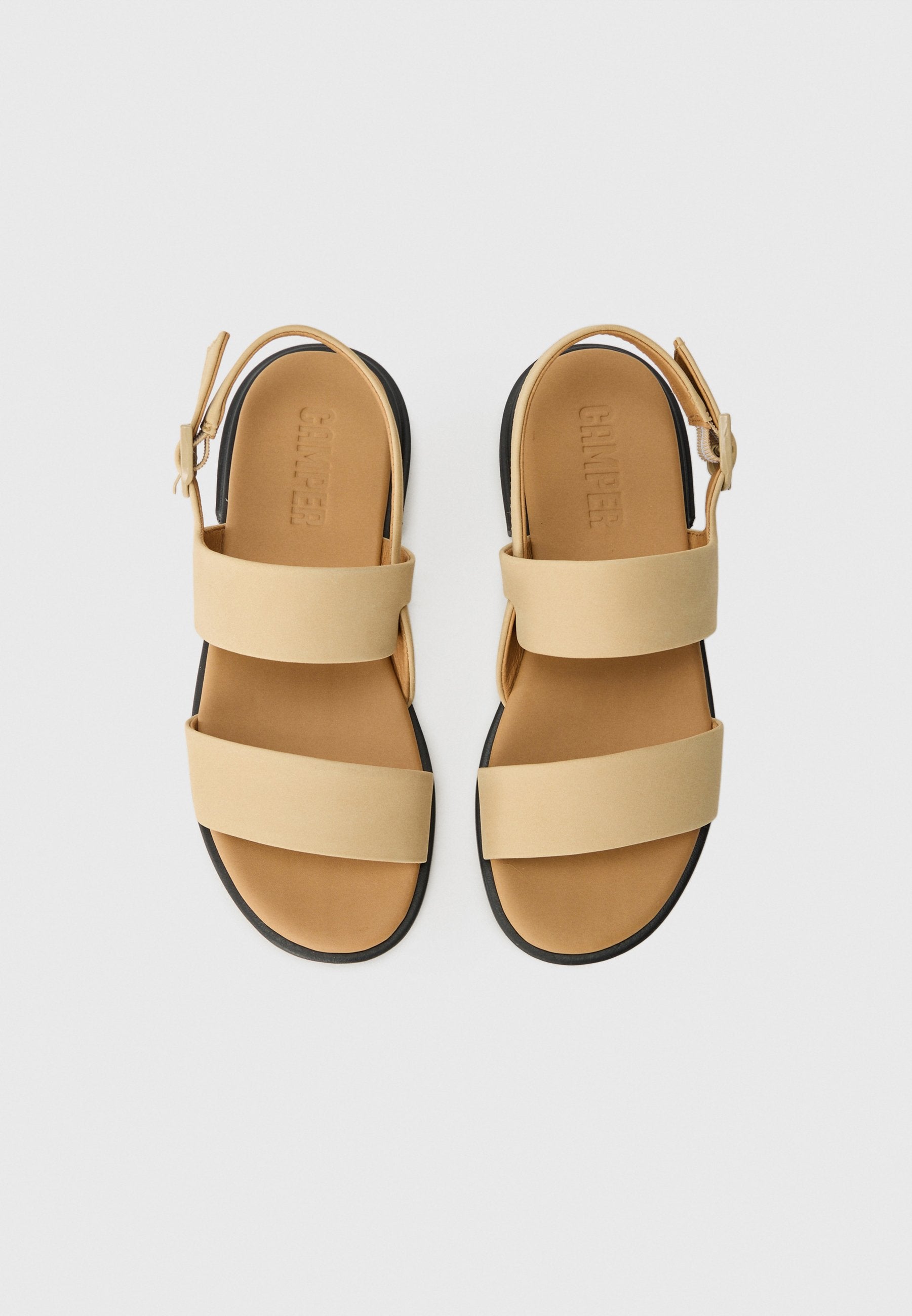 Camper EDY