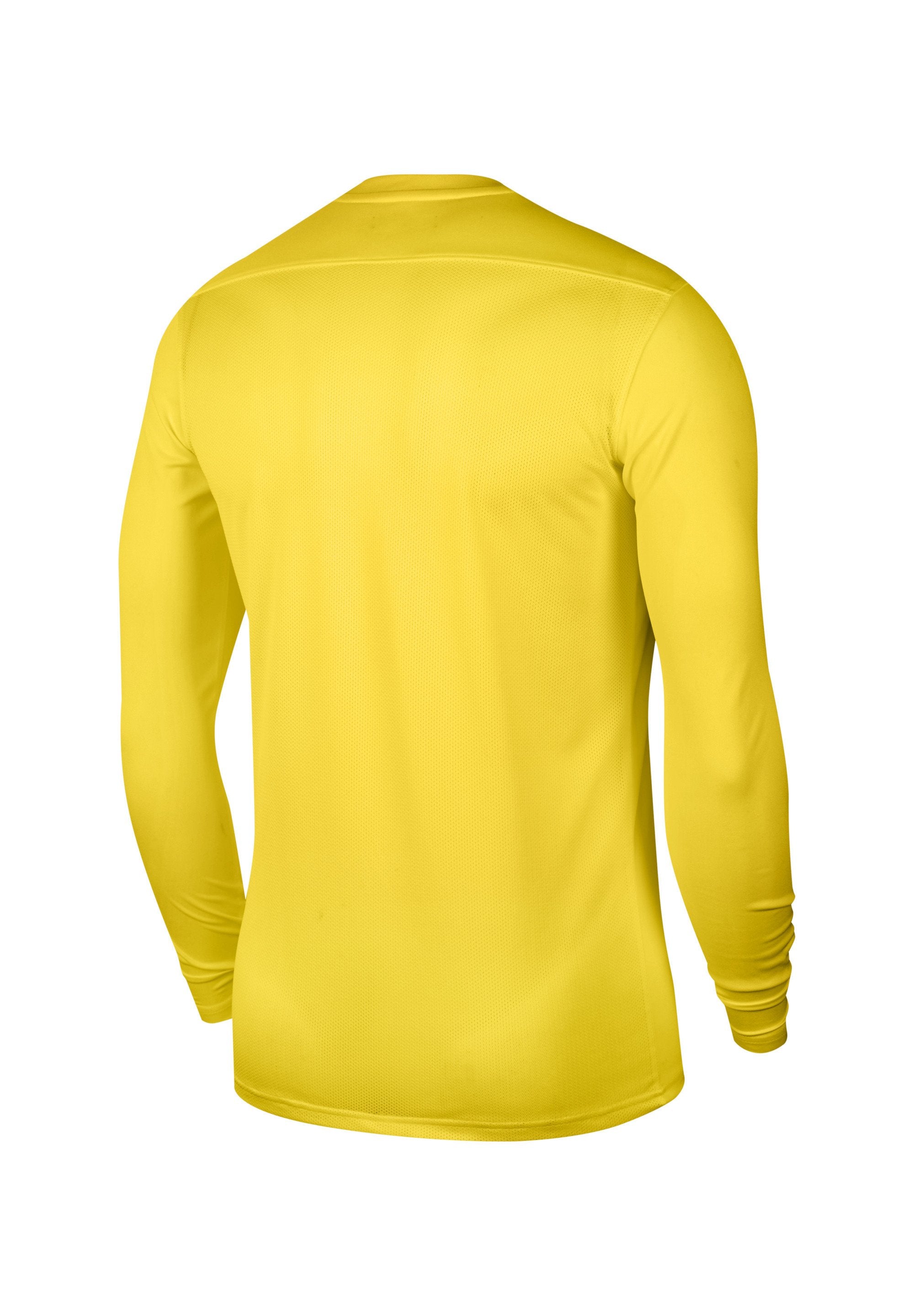 Nike Performance FUSSBALL TEAMSPORT   PARK VII
