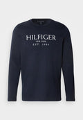 Tommy Hilfiger BIG TEE - Long sleeved top - desert sky