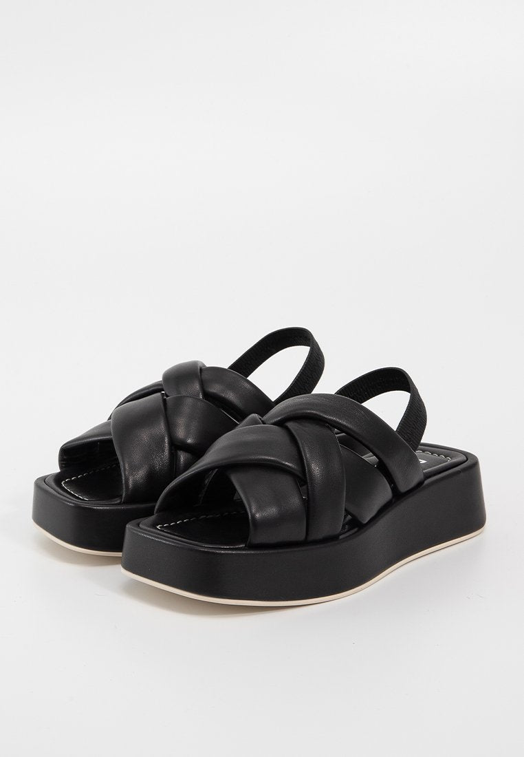 Pollini