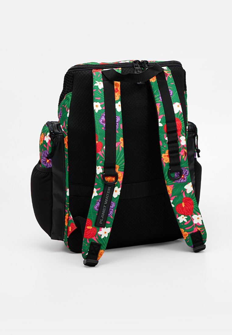 Arena ONE GO