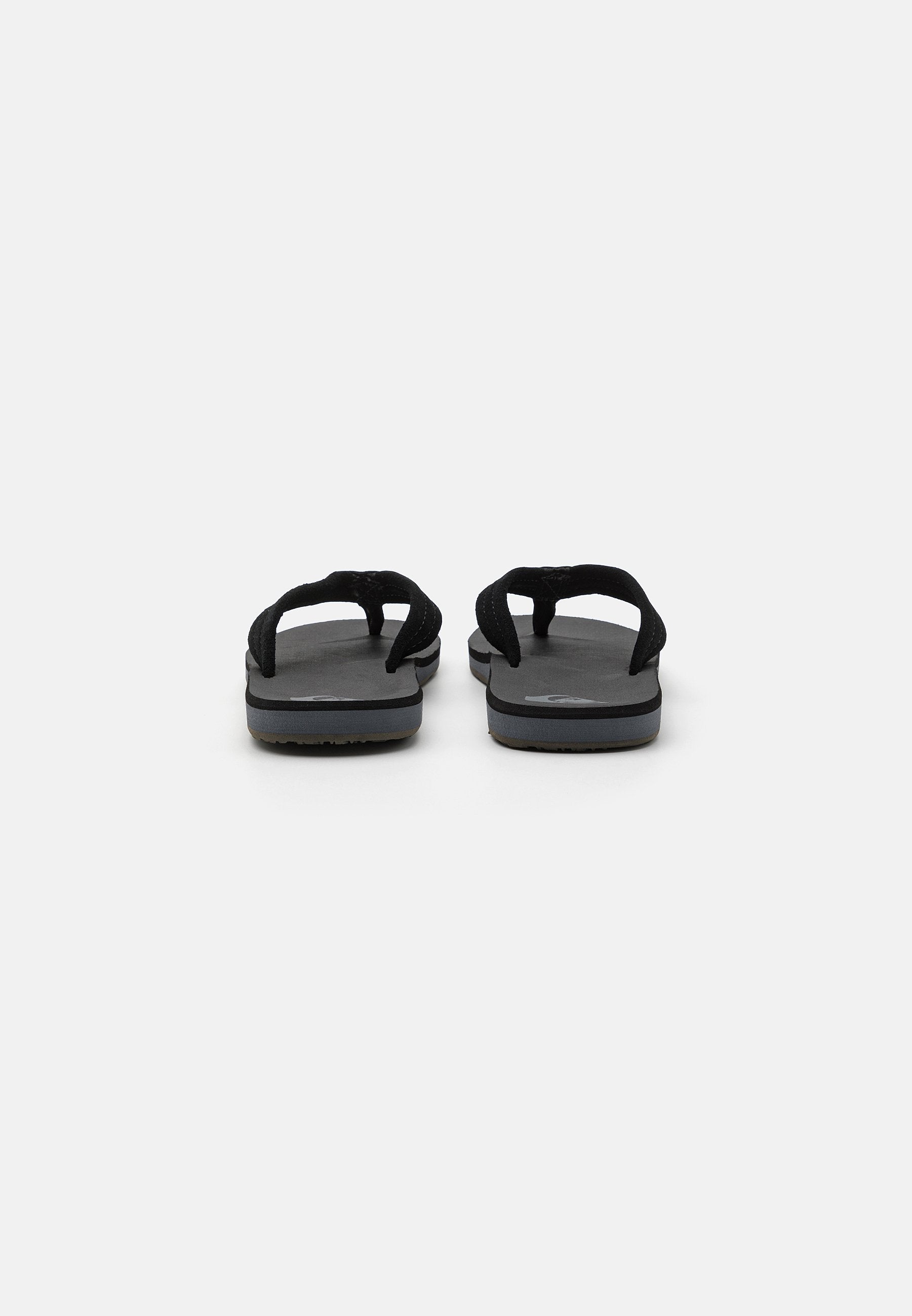 Quiksilver CARVER CORE