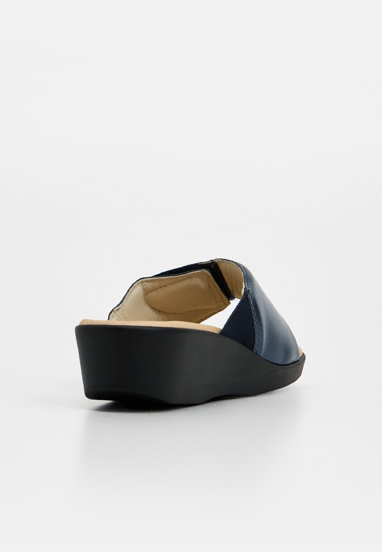 Scholl LEDEL