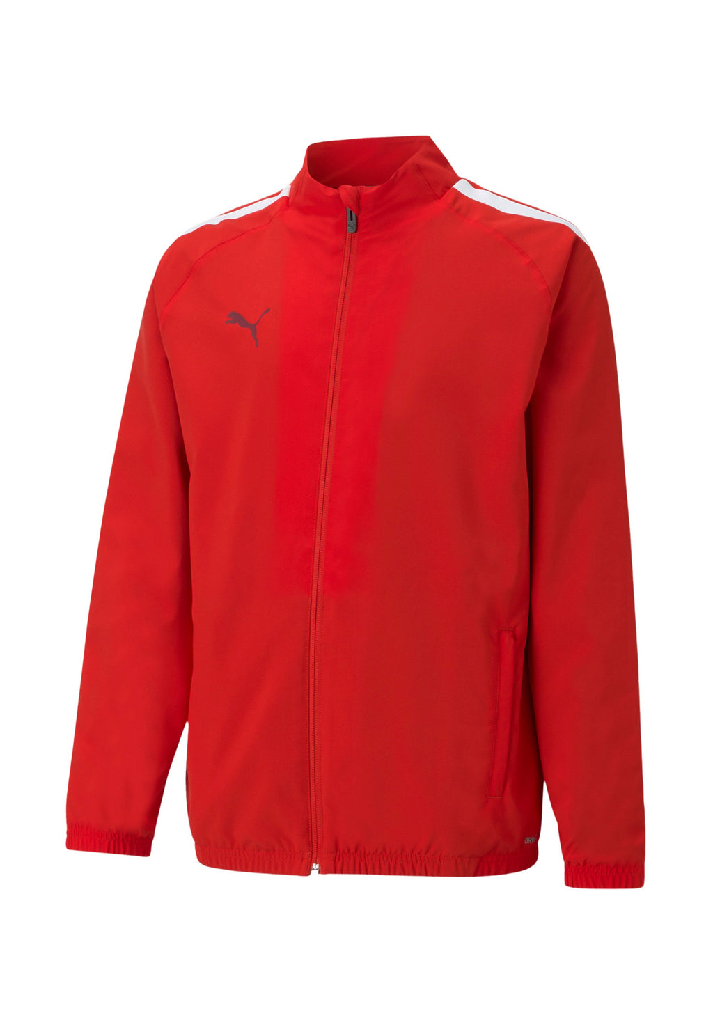 Puma TEAMLIGA SIDELINE