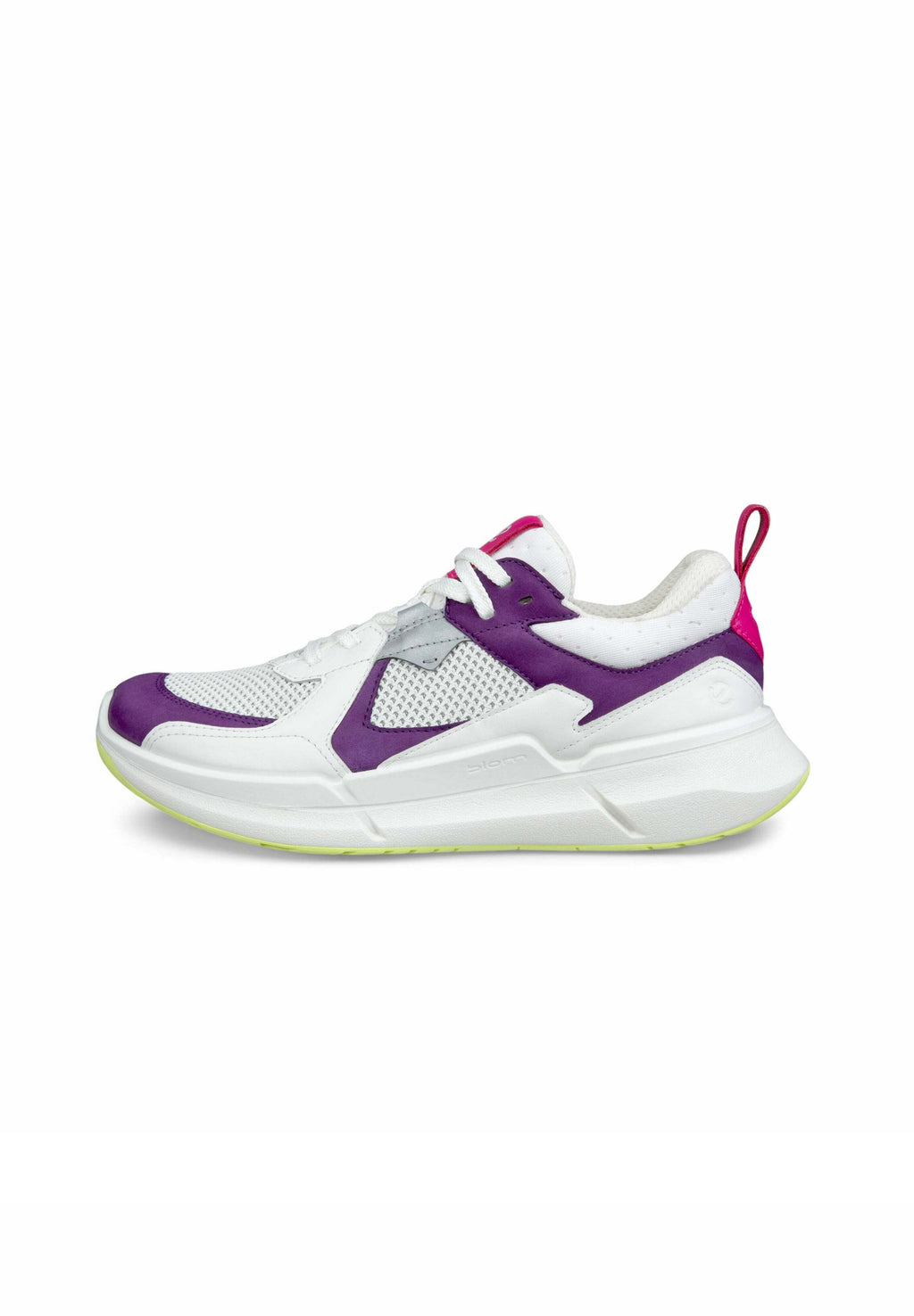 BIOM 2.2 Media 1