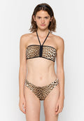 Roberto Cavalli Bikini Media 1