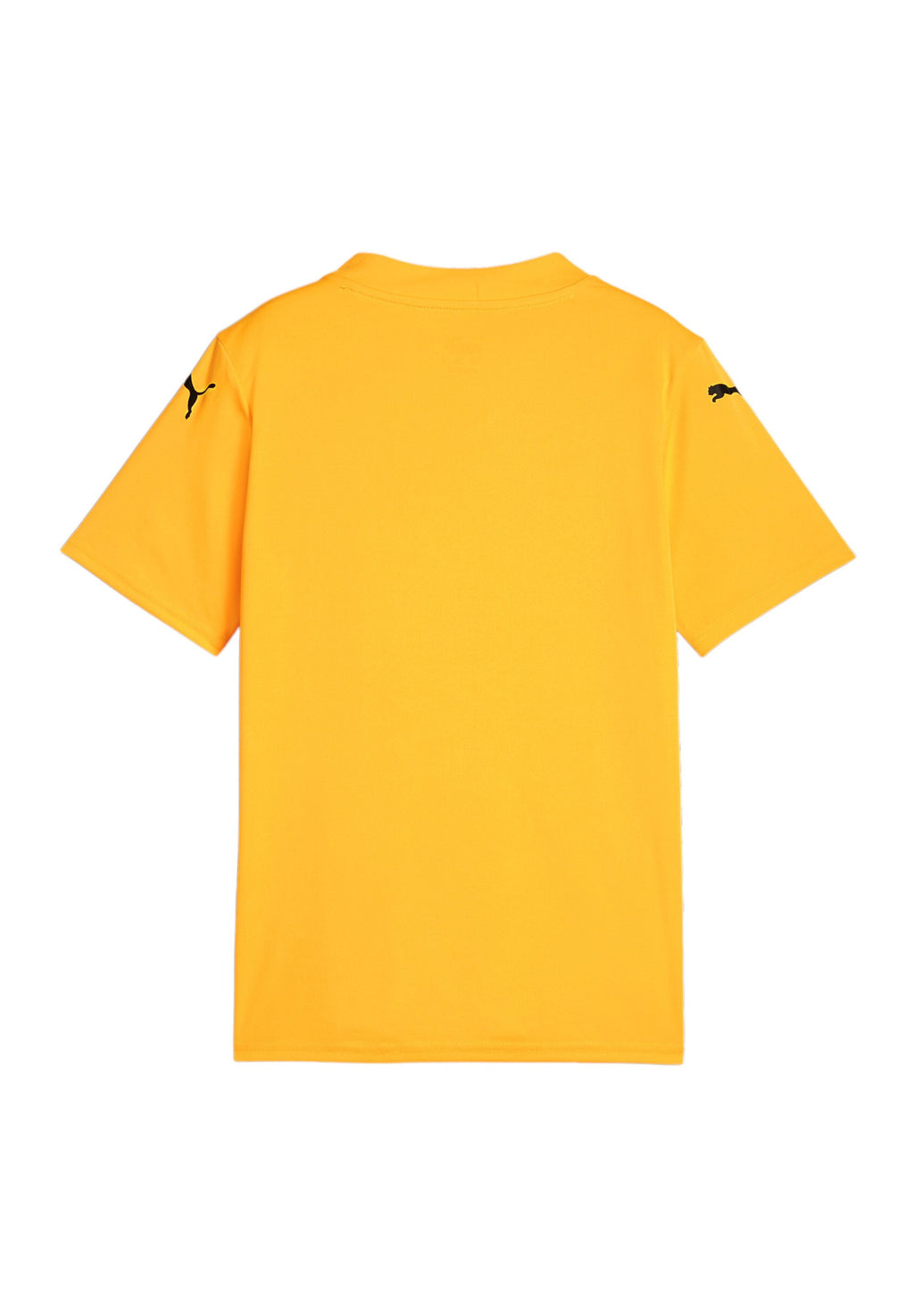 Puma TEAMGLORY JR UNISEX