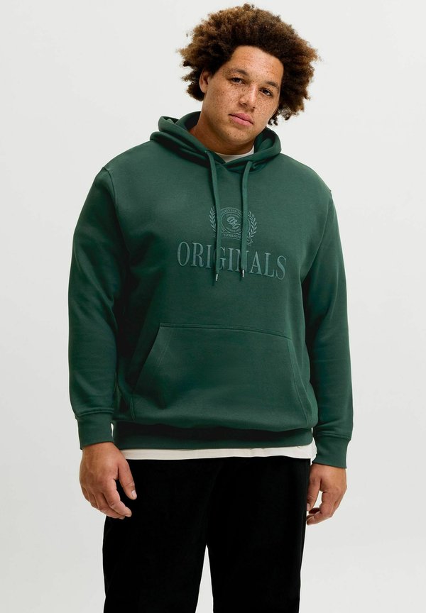 Jack & Jones JORFREDERIKSBERG MONOGRAM SWEAT HOOD PLS - Hoodie - pine grove