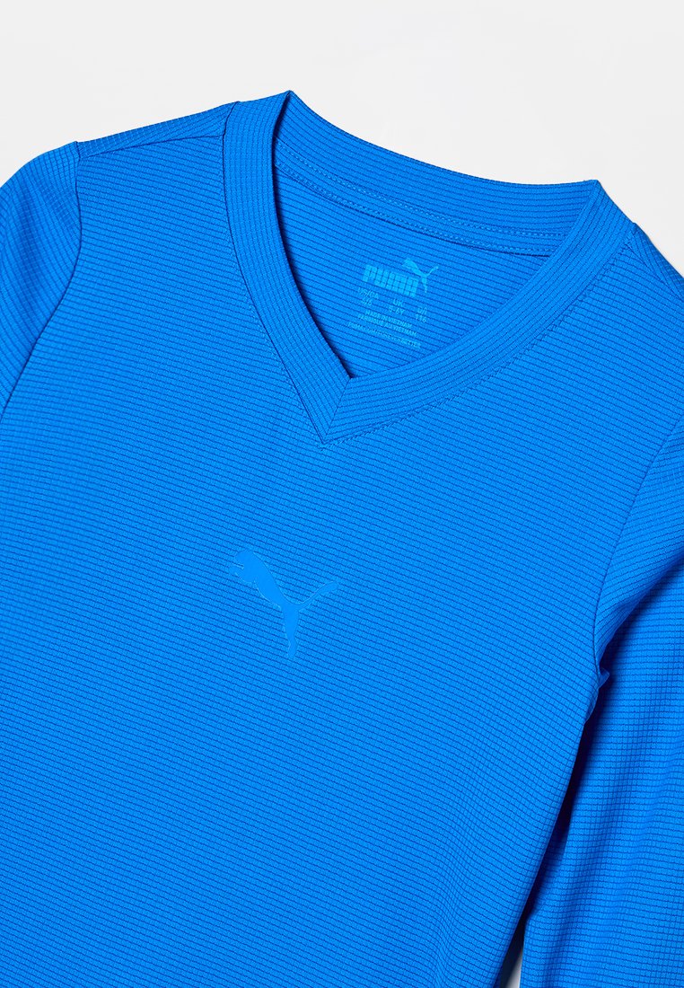 Puma TEAMGOAL