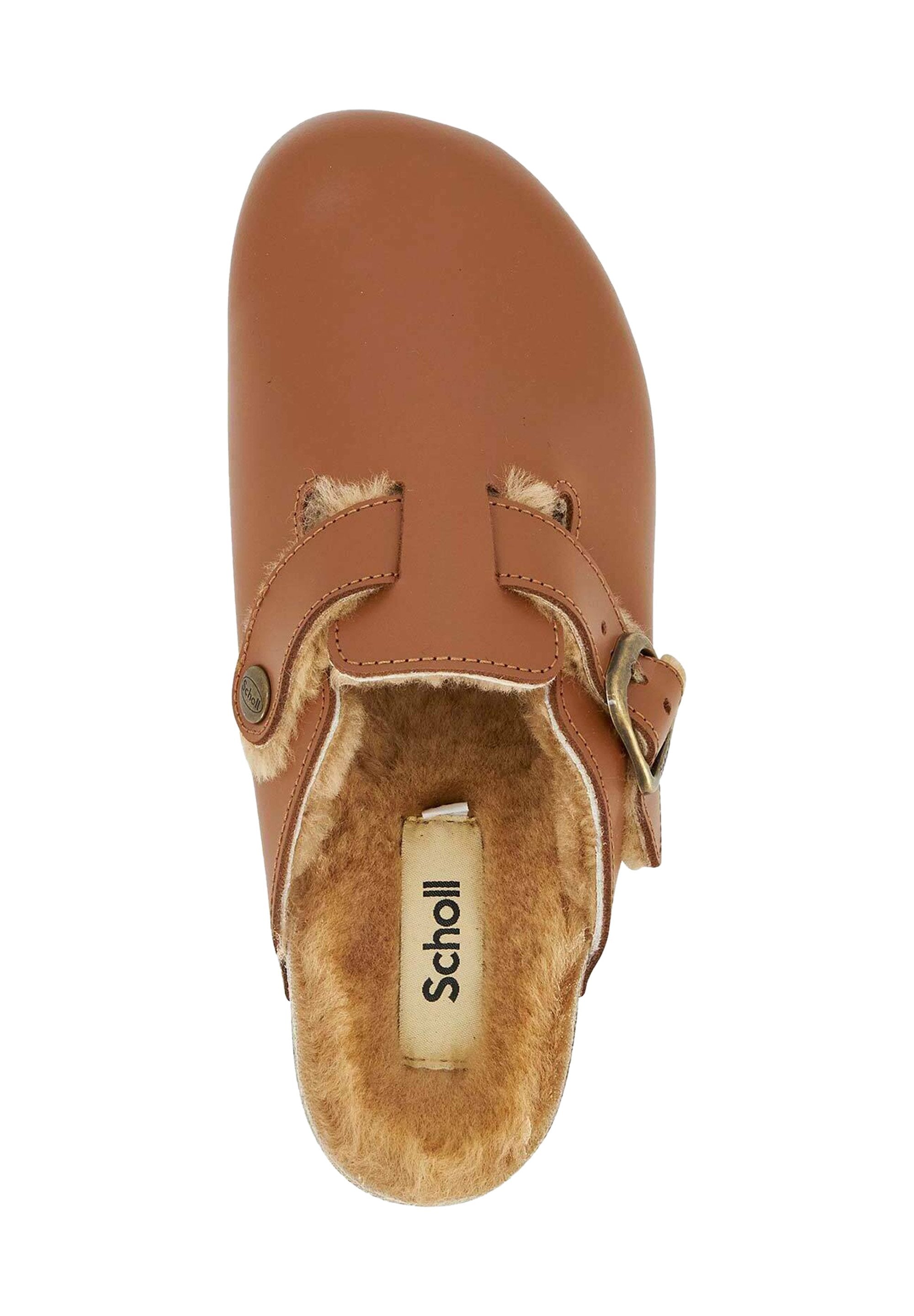 Scholl