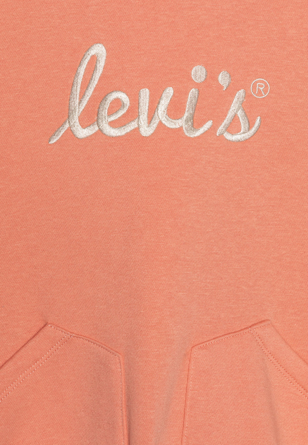 Levi's® POSTER LOGO HOODIE