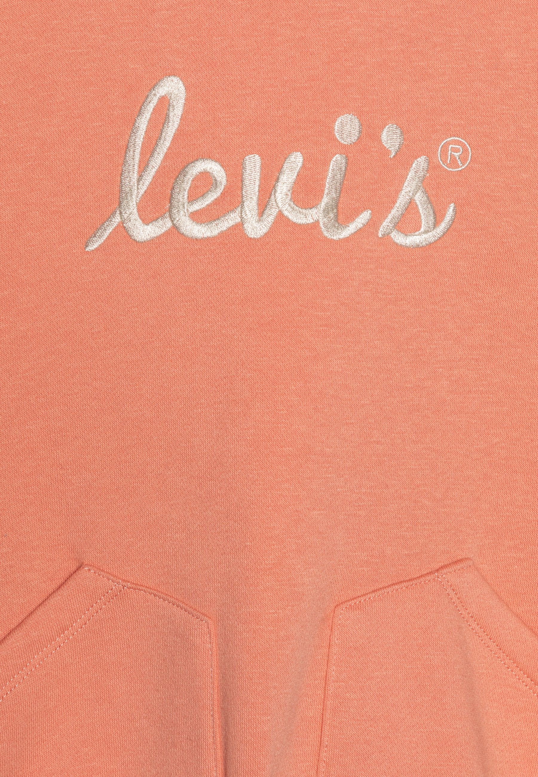Levi's® POSTER LOGO HOODIE