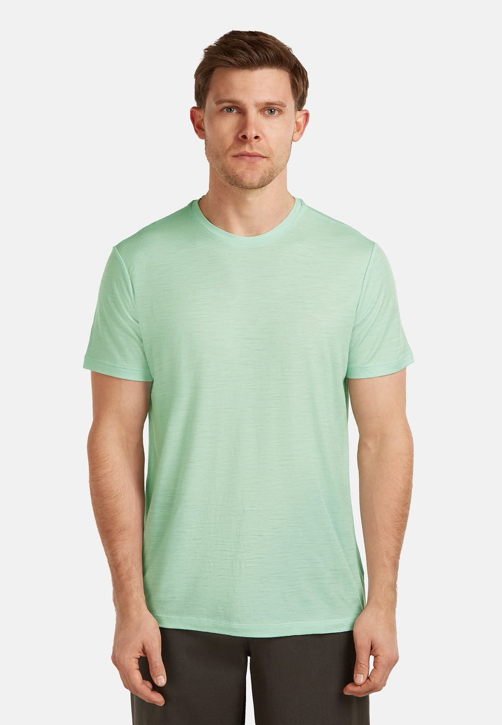 icebreaker 150 TECH LITE III SS TEE