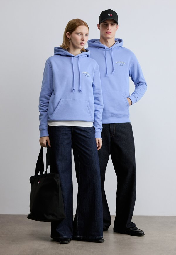 Tommy Jeans DOLLAR STACK HOODIE UNISEX
