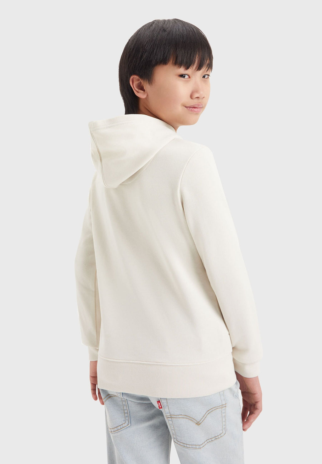 Levi's® LANDSCAPE BOX HOODIE