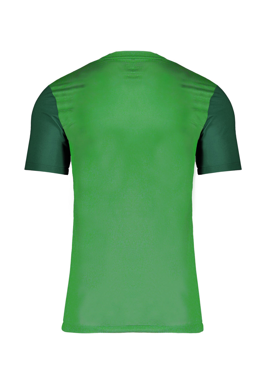 Nike Performance FUSSBALL - TEAMSPORT - TROPHY V T