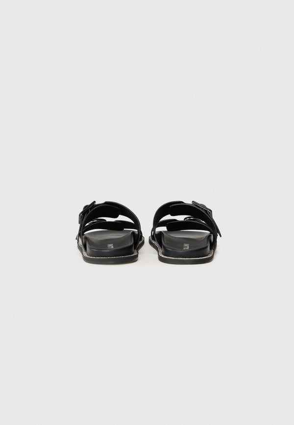 Pollini