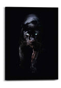 Orange Wallz BLACK CAT