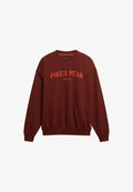 Superdry & Co CREW  - Sweatshirt - fired brick brown