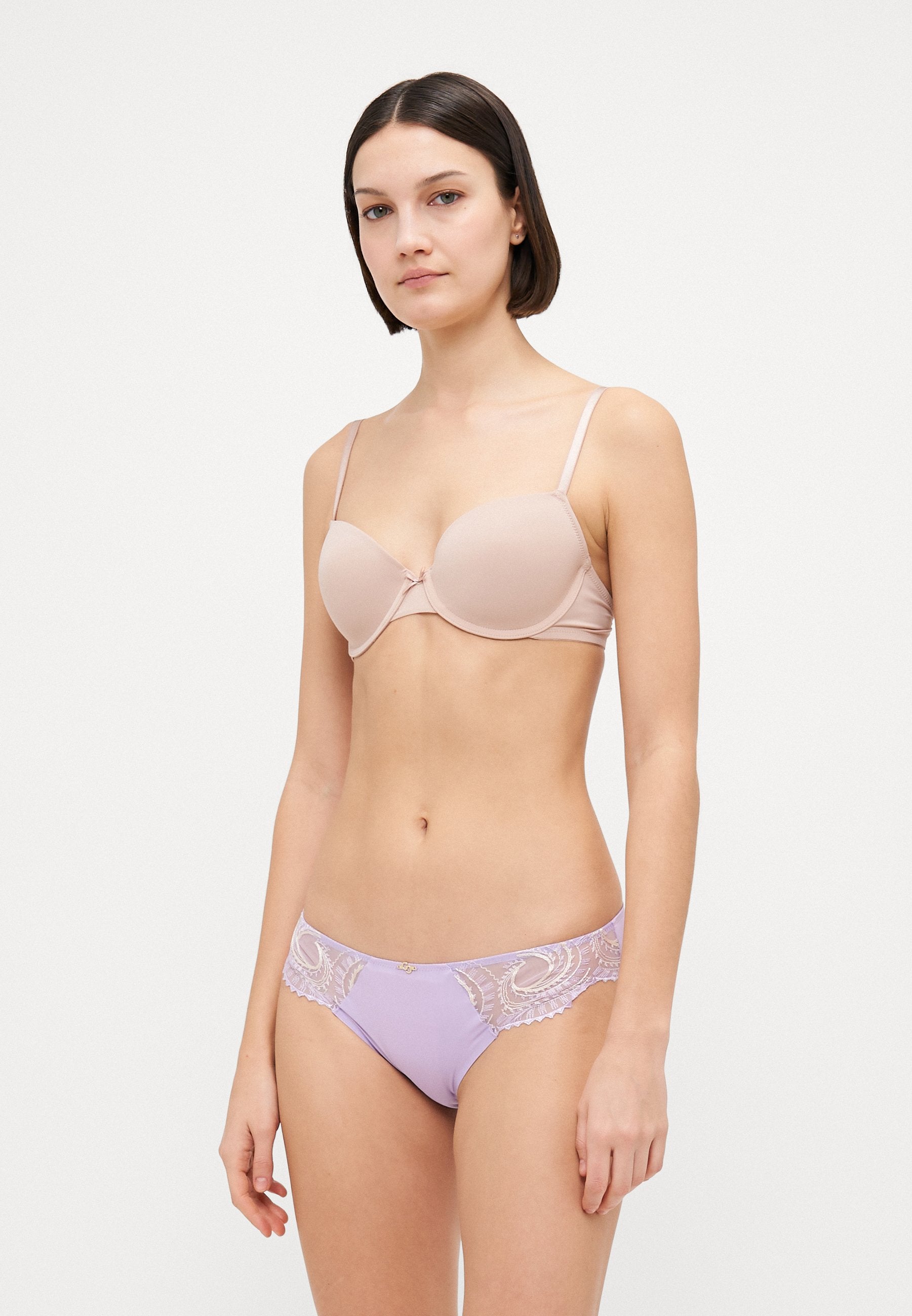 EVOLUTIVE BRIEF Media 2