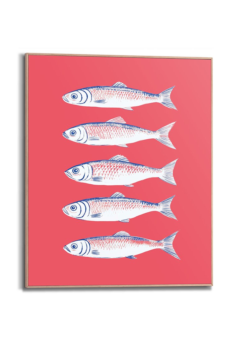 Orange Wallz SARDINES