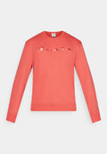 Champion ICONS CREWNECK WITH LARGE TONAL LOGO
