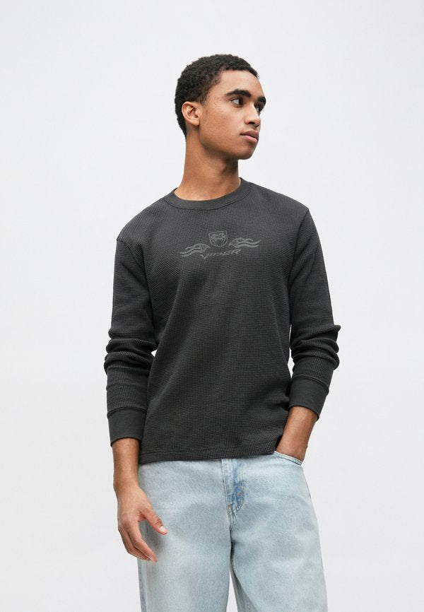 Hollister Co.