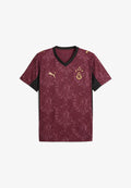 Puma THIRD JERSEY REPLICA SPONSOR - Football jersey - team regal red-puma team gold