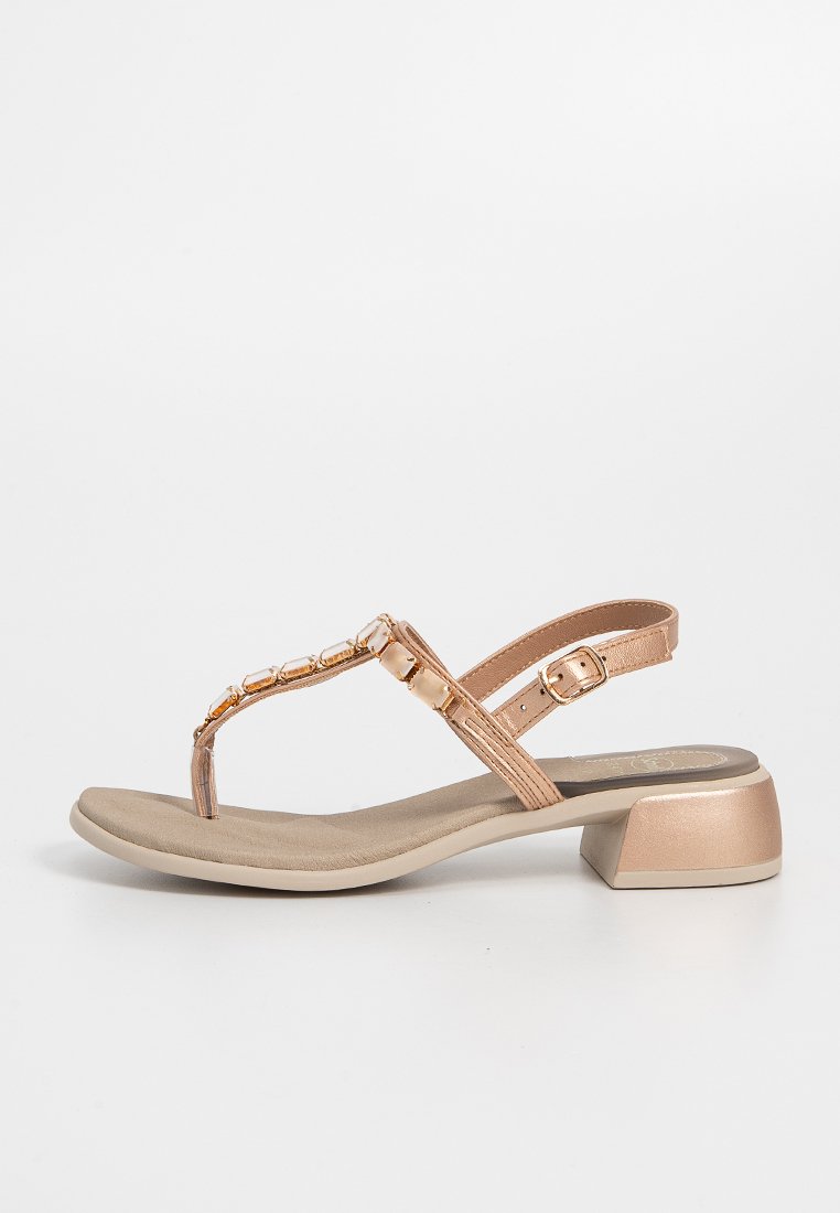 Scholl PANAREA