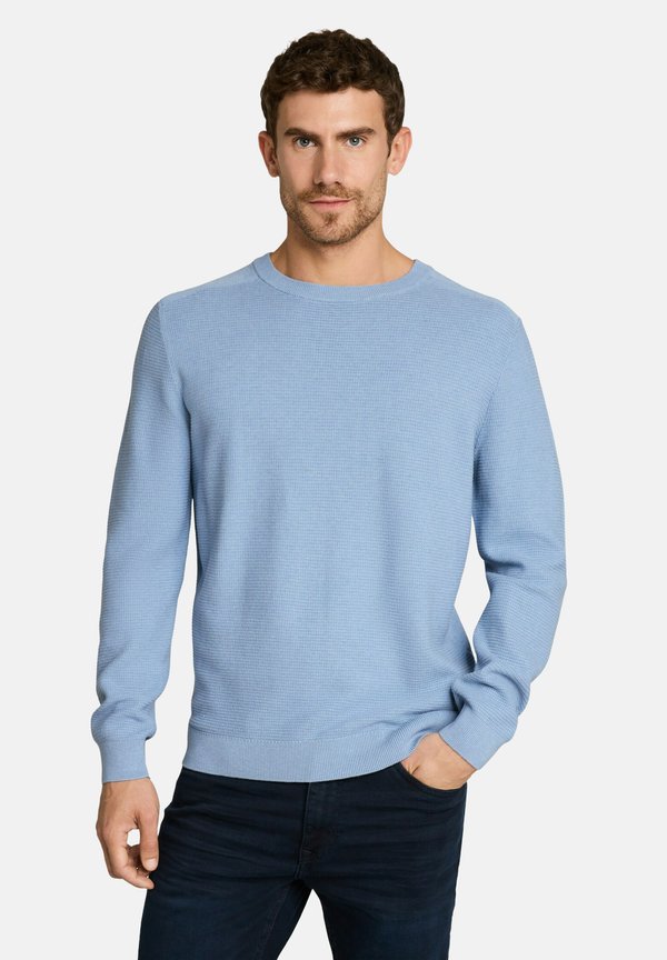 TOM TAILOR STRUCTURED CREW NECK KNIT - Jumper - pale blue mélange