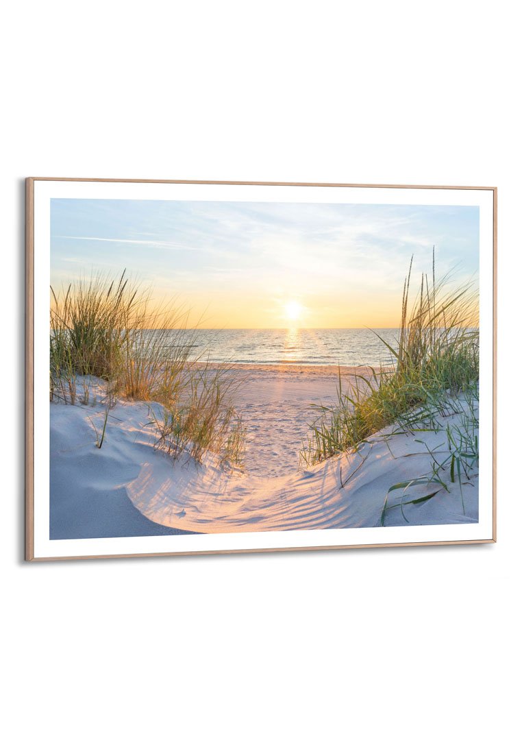 Orange Wallz EVENING DUNES