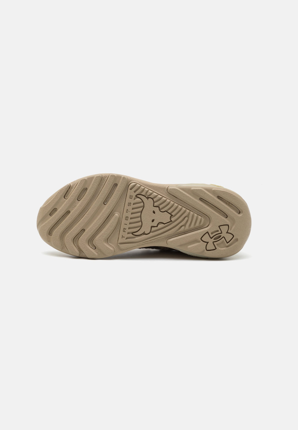 Under Armour PROJECT ROCK 7