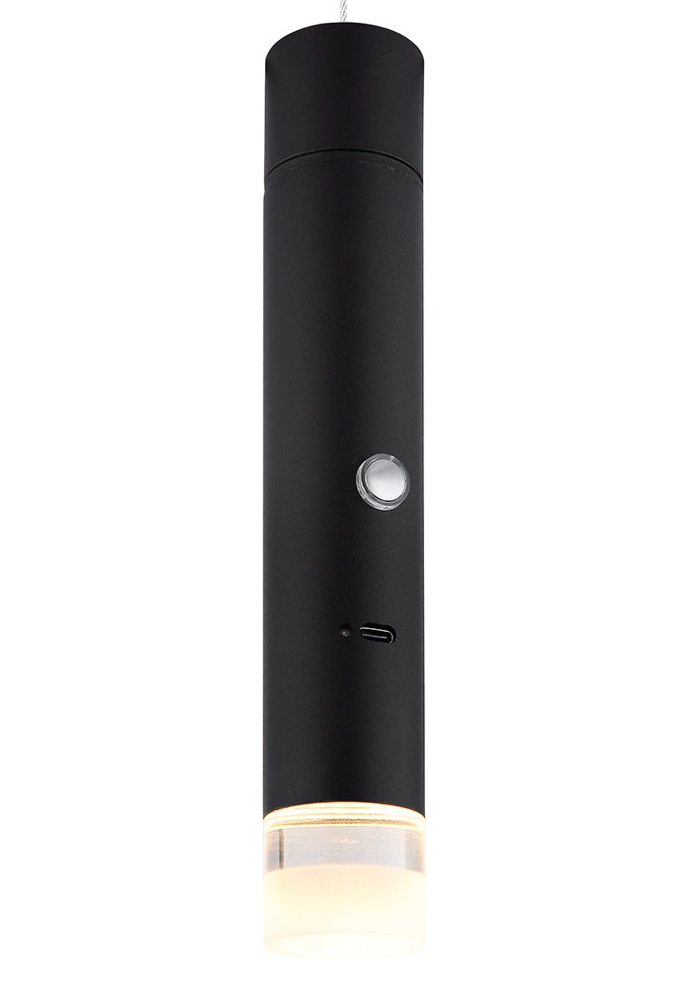 GLOBO Lighting 2-IN-1