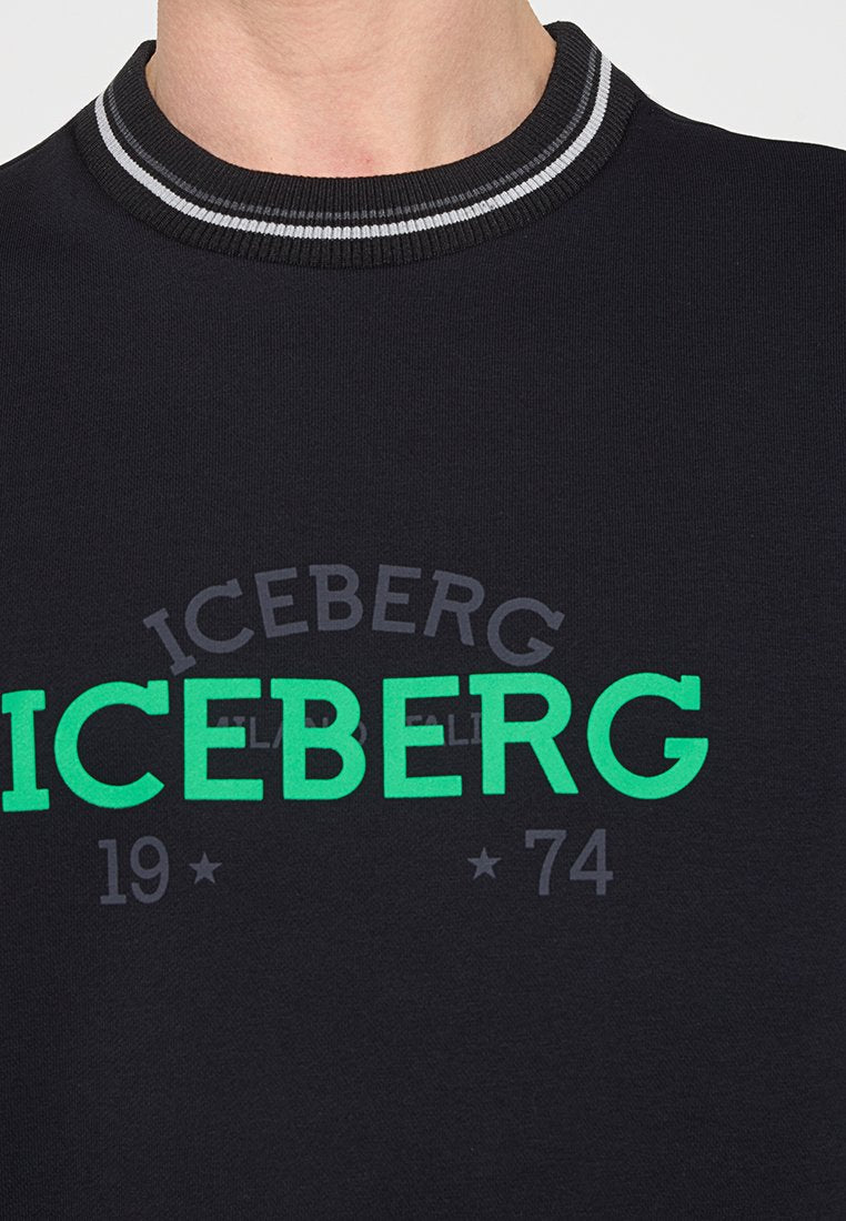 Iceberg