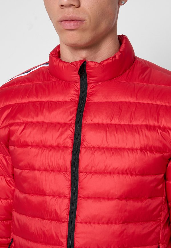 Rossignol