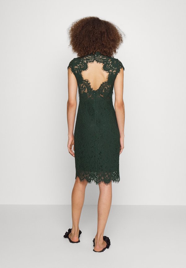 IVY OAK MARA