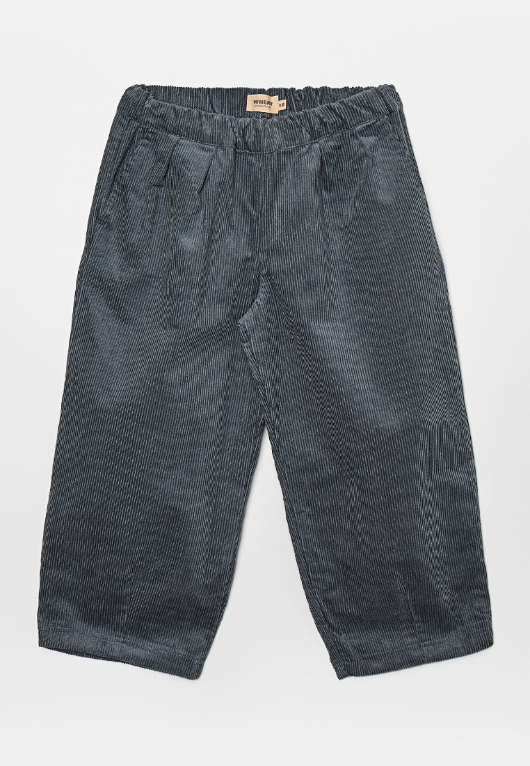Grau-schwarz gestreifte Hose aus weichem Stoff mit elastischem Bund, vorne plissiert und weitem Bein, die eine legere und bequeme Passform bietet.