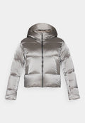 Rossignol  DAILLE
