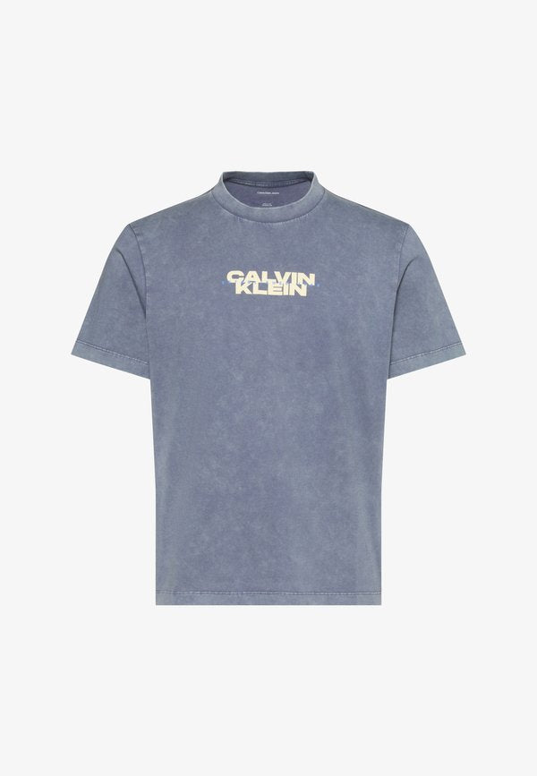 Calvin Klein Jeans WASHED SPINE GRAPHIC TEE - Print T-shirt - blue-grey