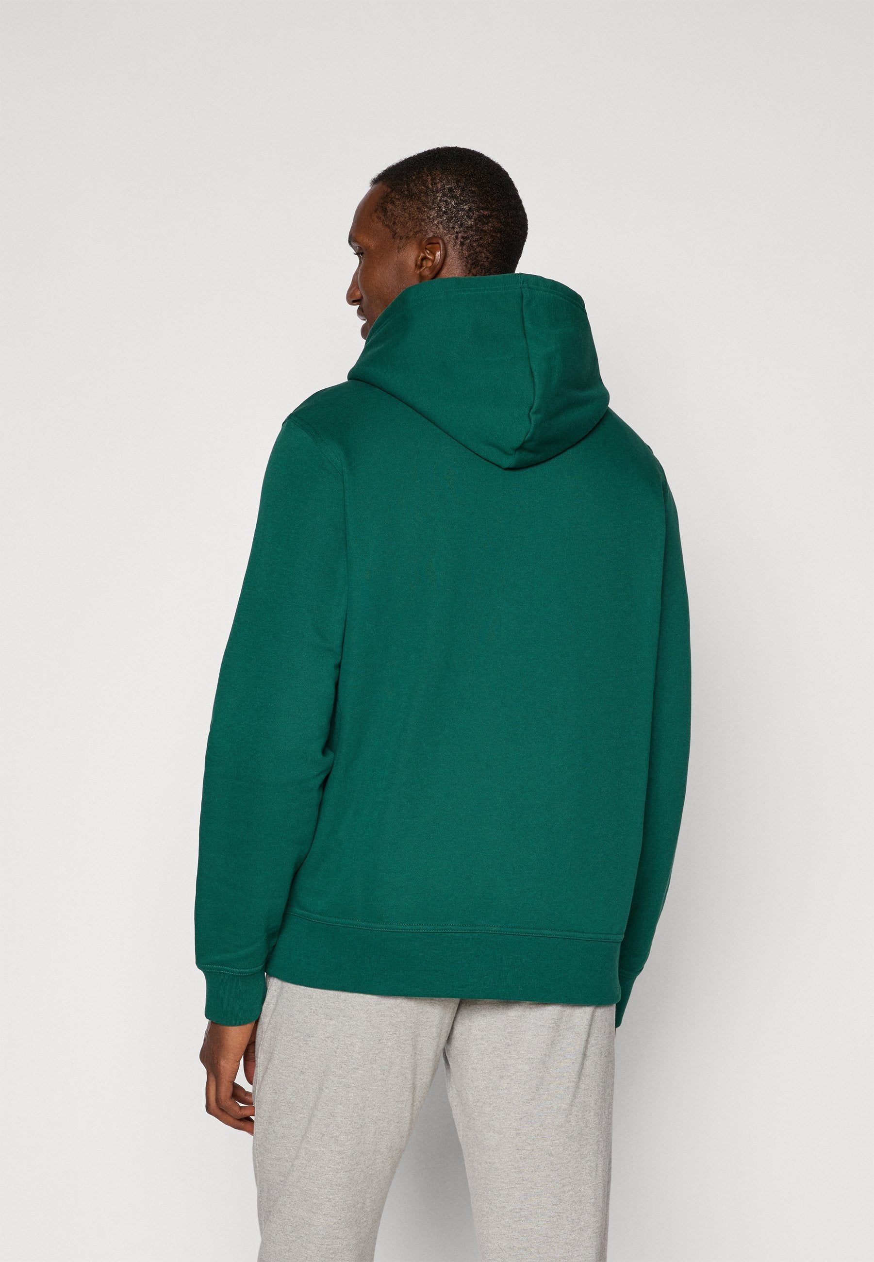 Champion SPORTSWEAR ZIP UP HOODIE STANDARD FIT