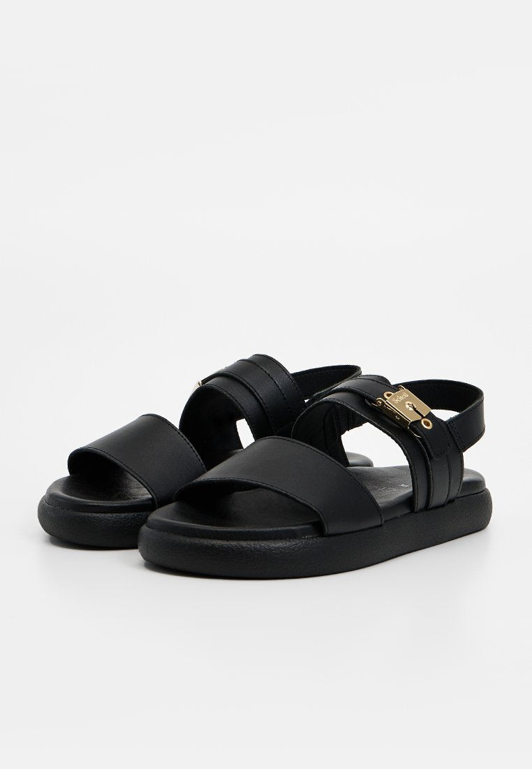 Scholl TAYLOR