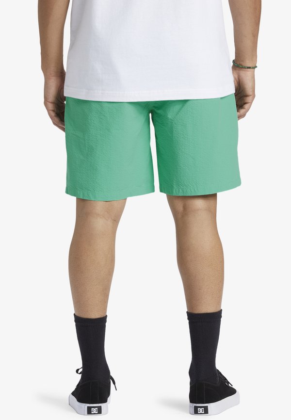 DC Shoes  STRYKER