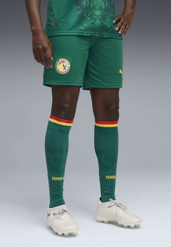Puma SENEGAL SHORTS - Sports shorts - wild green- red