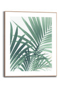 Orange Wallz PALM TREE LEAF