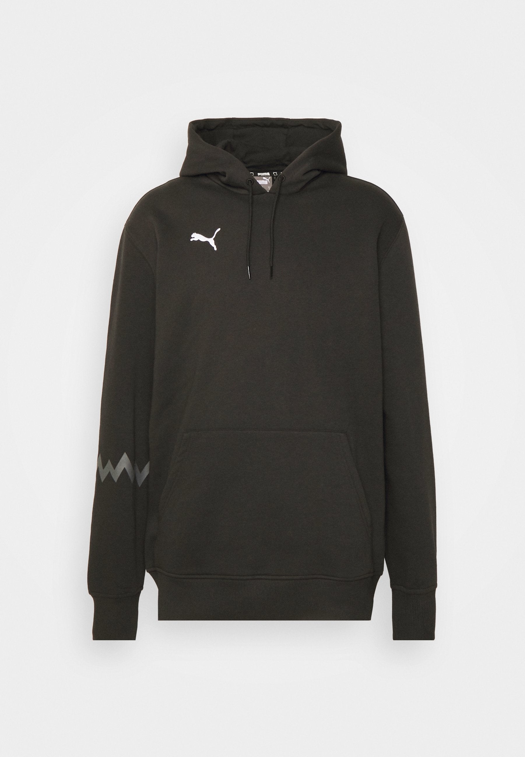 Puma HOOPS TEAM HOODIE