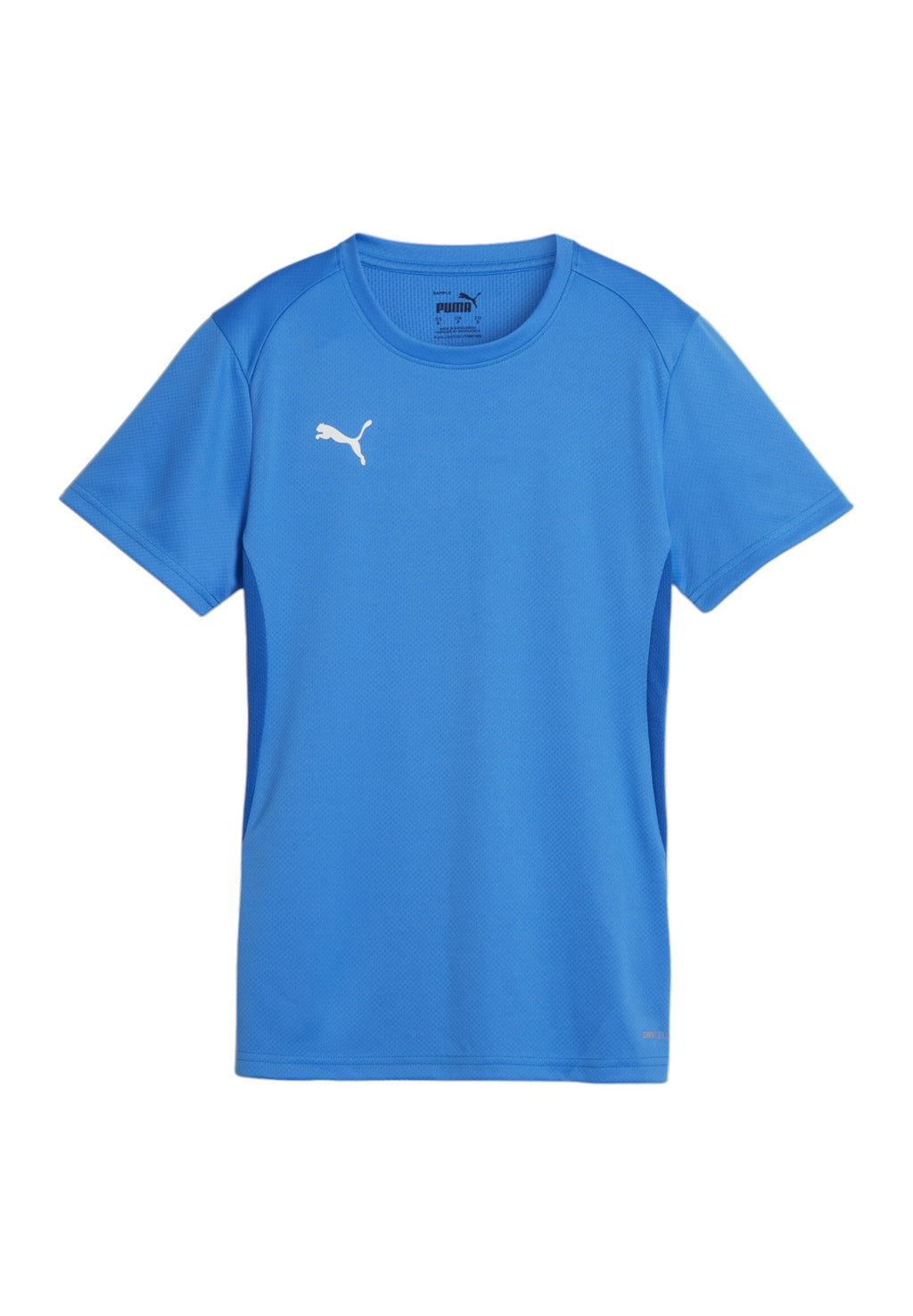 Puma TEAMGOAL